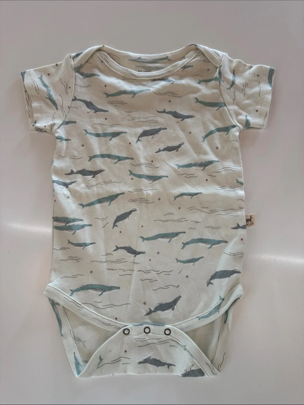 Whale Print Baby Bodysuit in Light Aqua by new without tag